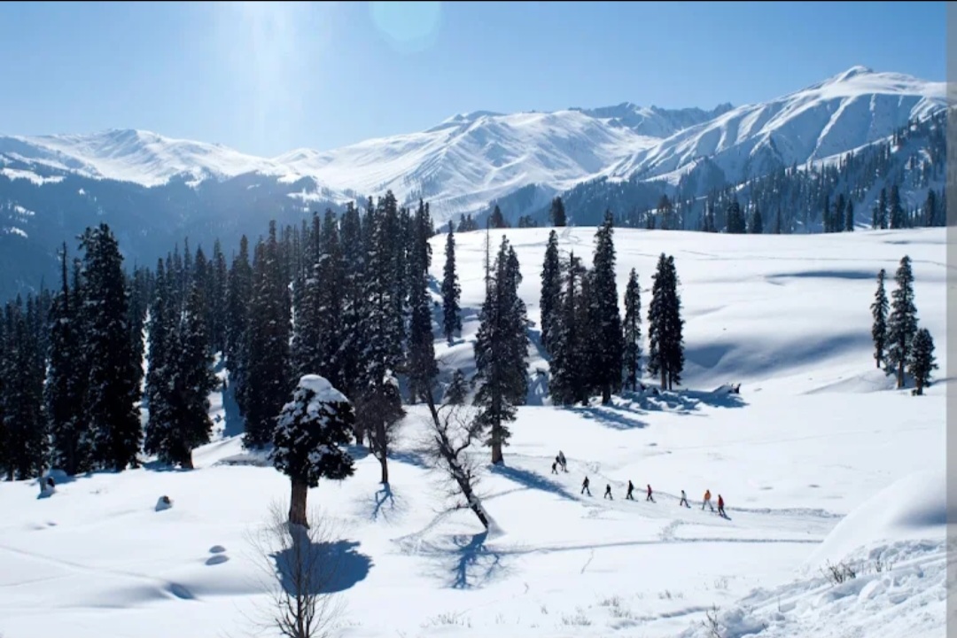 Srinagar Destination Tour And Travels photo