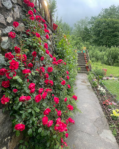 The Eco Village Resort Srinagar - Resort in Kashmir, Photo 2