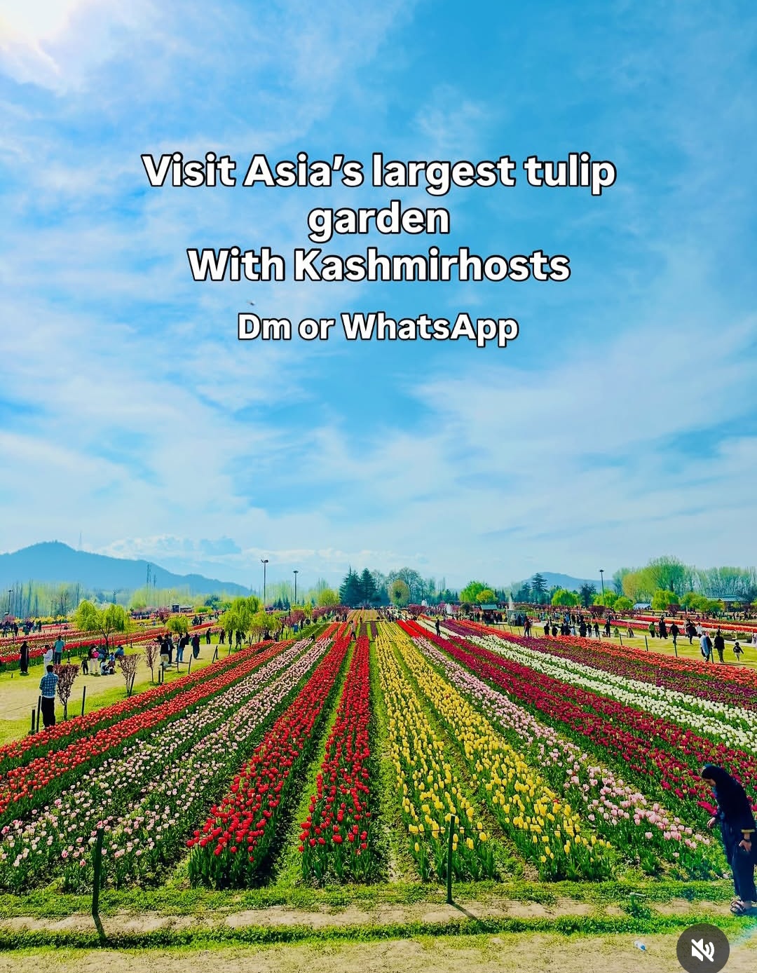 Kashmir Hosts