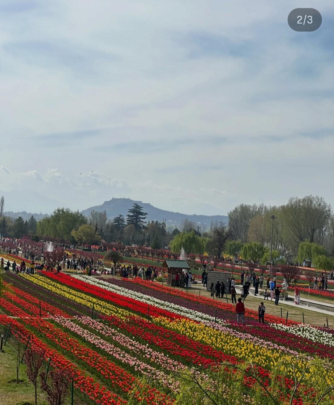 Kashmir Hosts