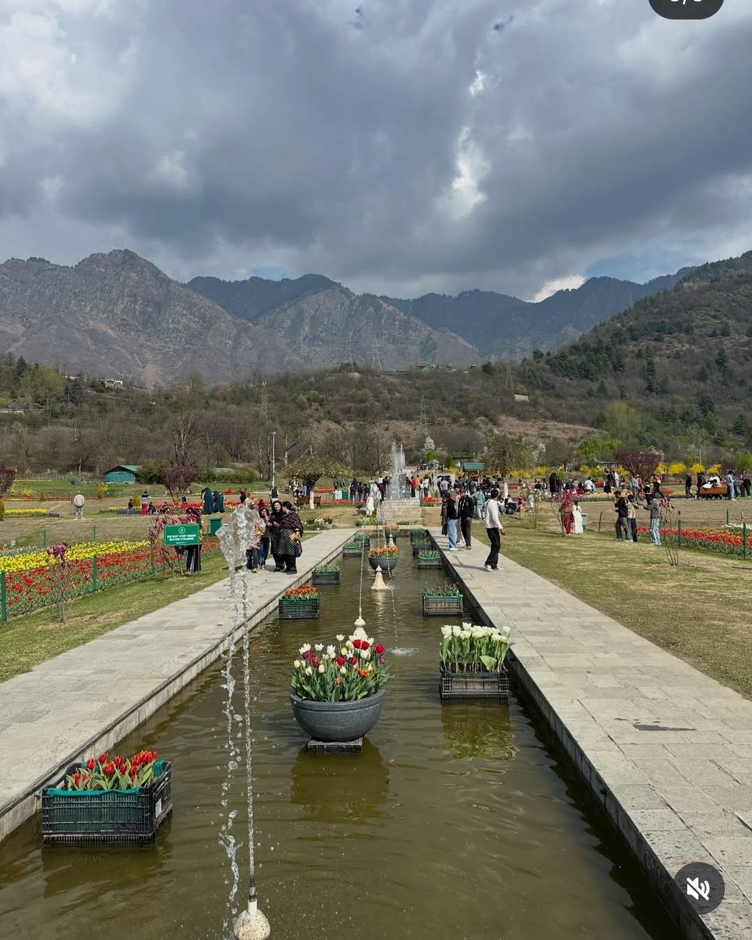 Kashmir Hosts