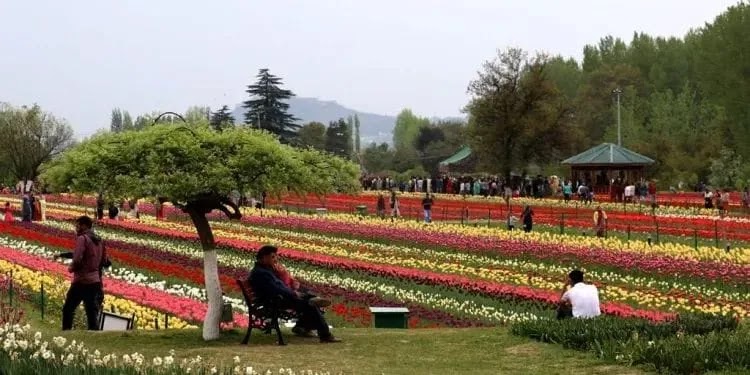 Kashmir Glide tour and travel - Travel Agency in Kashmir