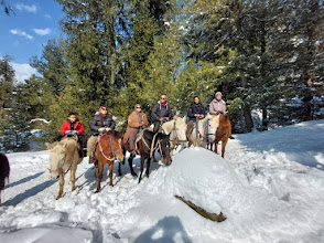 356 Holiday Travels - Travel Agency in Kashmir