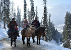 UT Kashmir Tour and Travels - Travel Agency in Kashmir