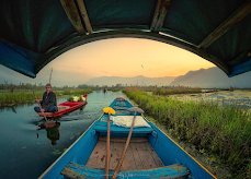 Char Chinar Dal lake - Shikara in Kashmir