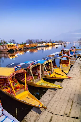 Char Chinar Dal lake - Shikara in Kashmir, Photo 1
