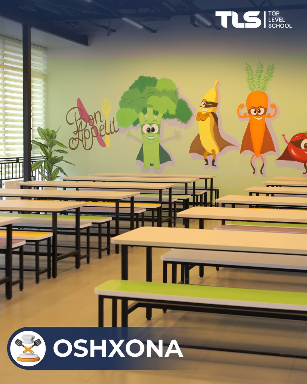 Top Level School — rasm 2