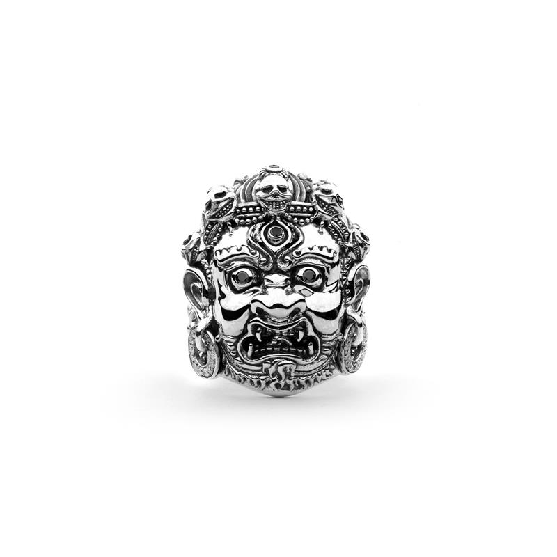 Wrathful Protector — view 4