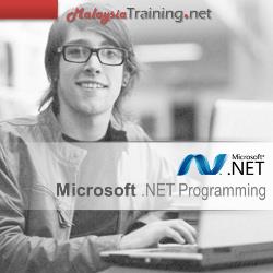 C# Programming with Microsoft .NET Advanced Level Training Course