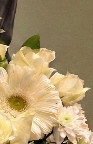 Ivory Serenade - Image 3