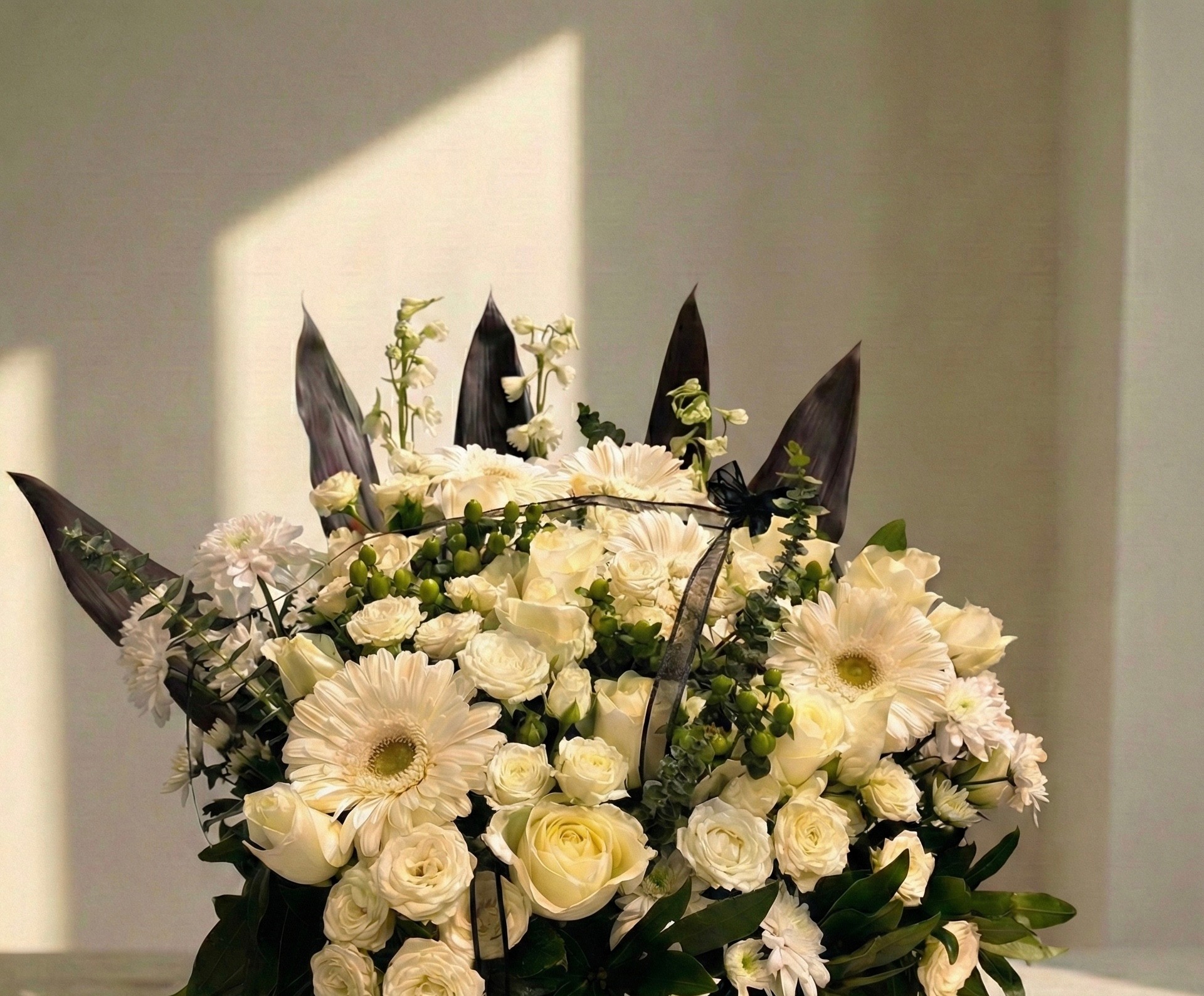 Ivory Serenade - Image 5