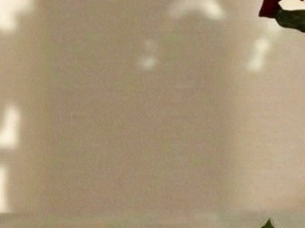 Crimson Love - Image 5