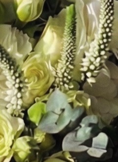 Ivory Dream - Image 4