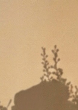 Crimson Kiss Bouquet - Image 5