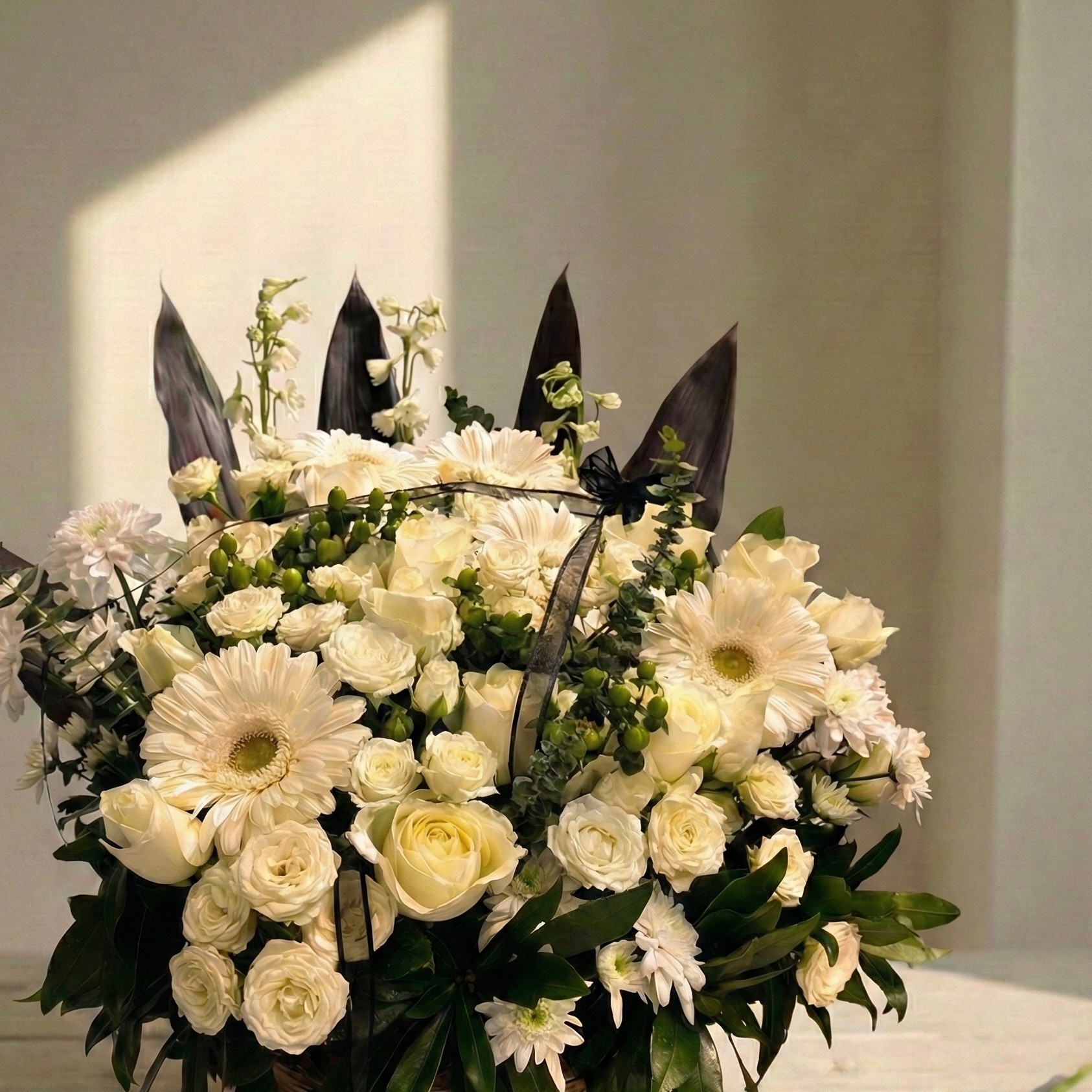 Ivory Serenade - Image 2