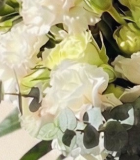 Ivory Dream - Image 5