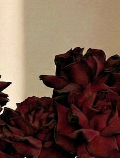 Burgundy Dreams - Image 4