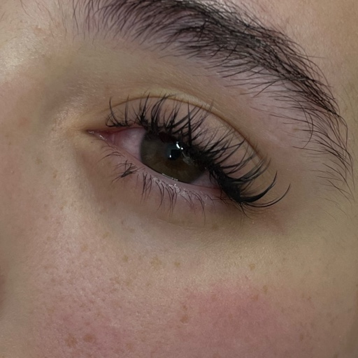 הפרופיל של הלחמת ריסים