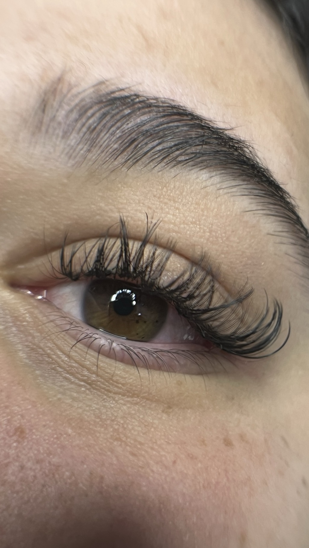 דוגמאת עבודה של העסק