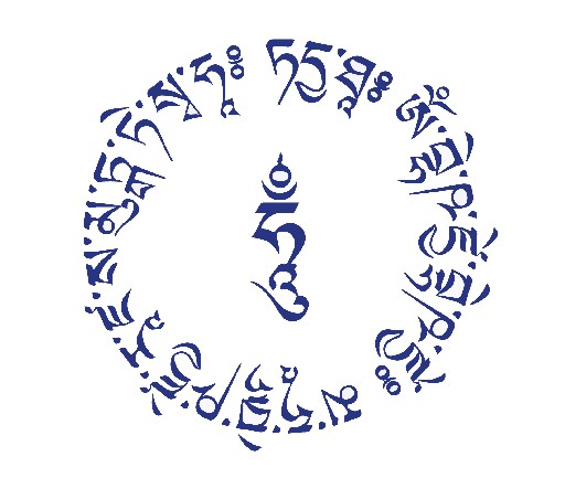 הפרופיל של שי לביא - סיני באלאנס