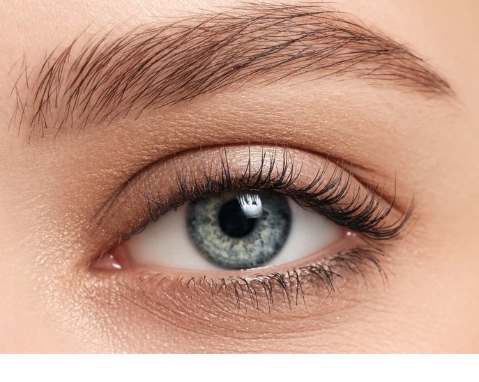 תמונת באנר ראשית של העסק