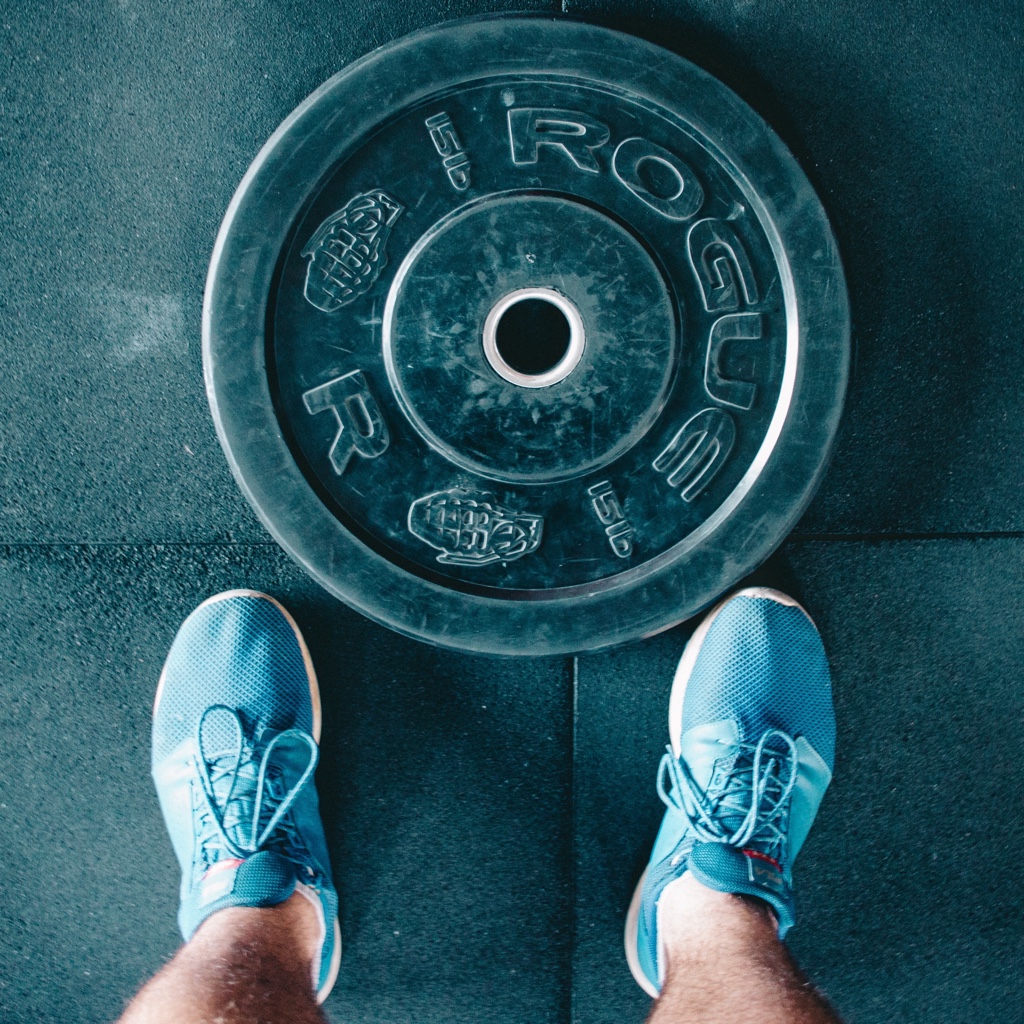 Fifteen kilo barbell