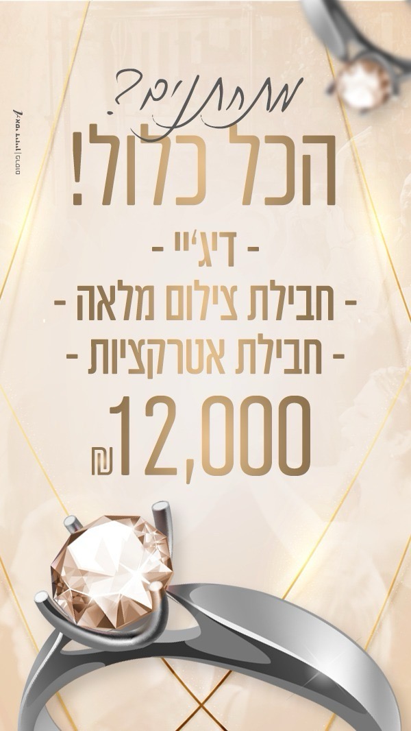 דוגמאת עבודה של העסק