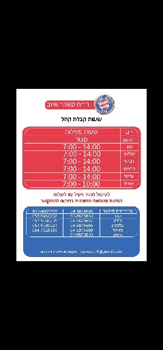 הפרופיל של רואה חשבון סאהר איוב