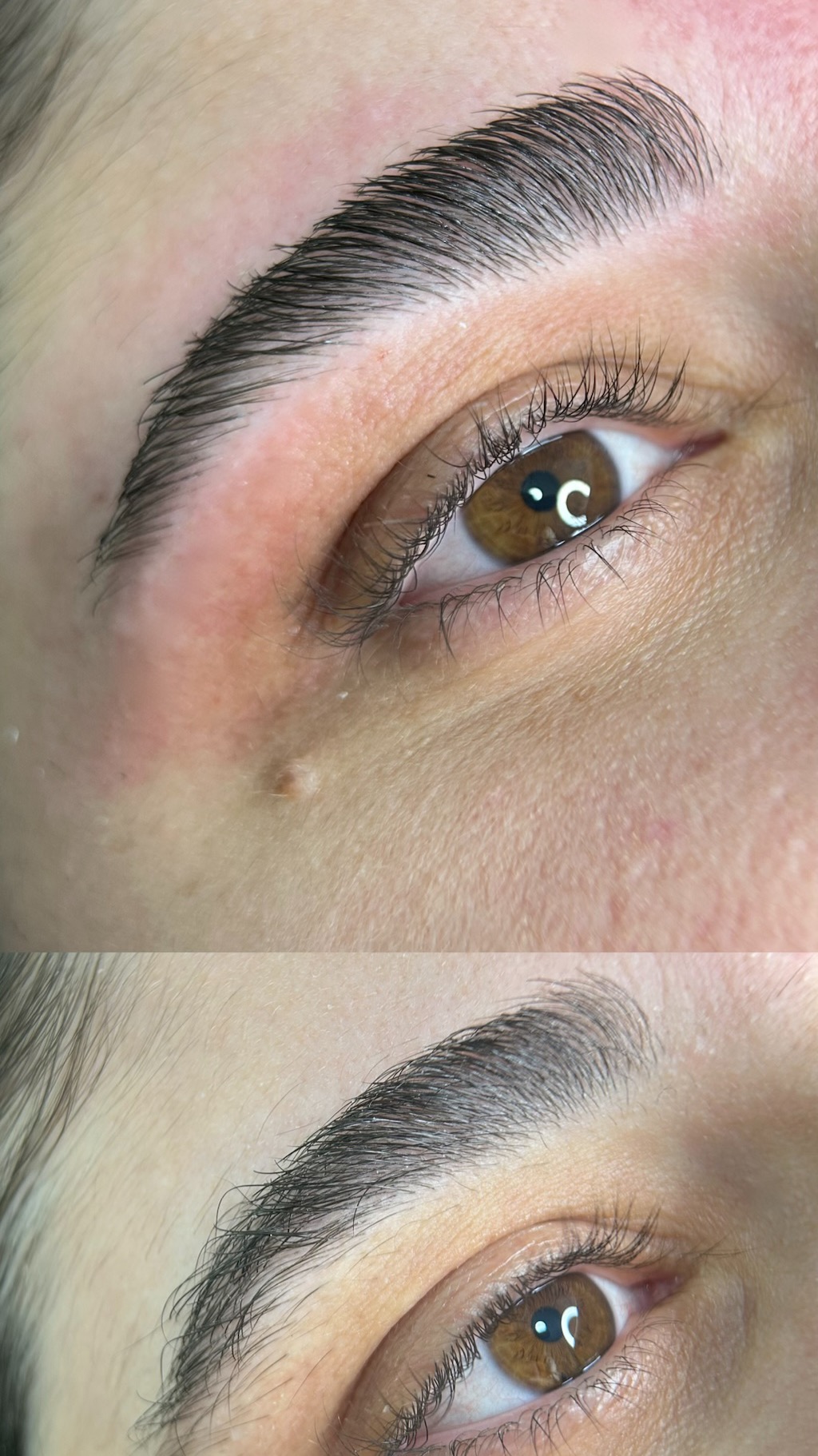 דוגמאת עבודה של העסק