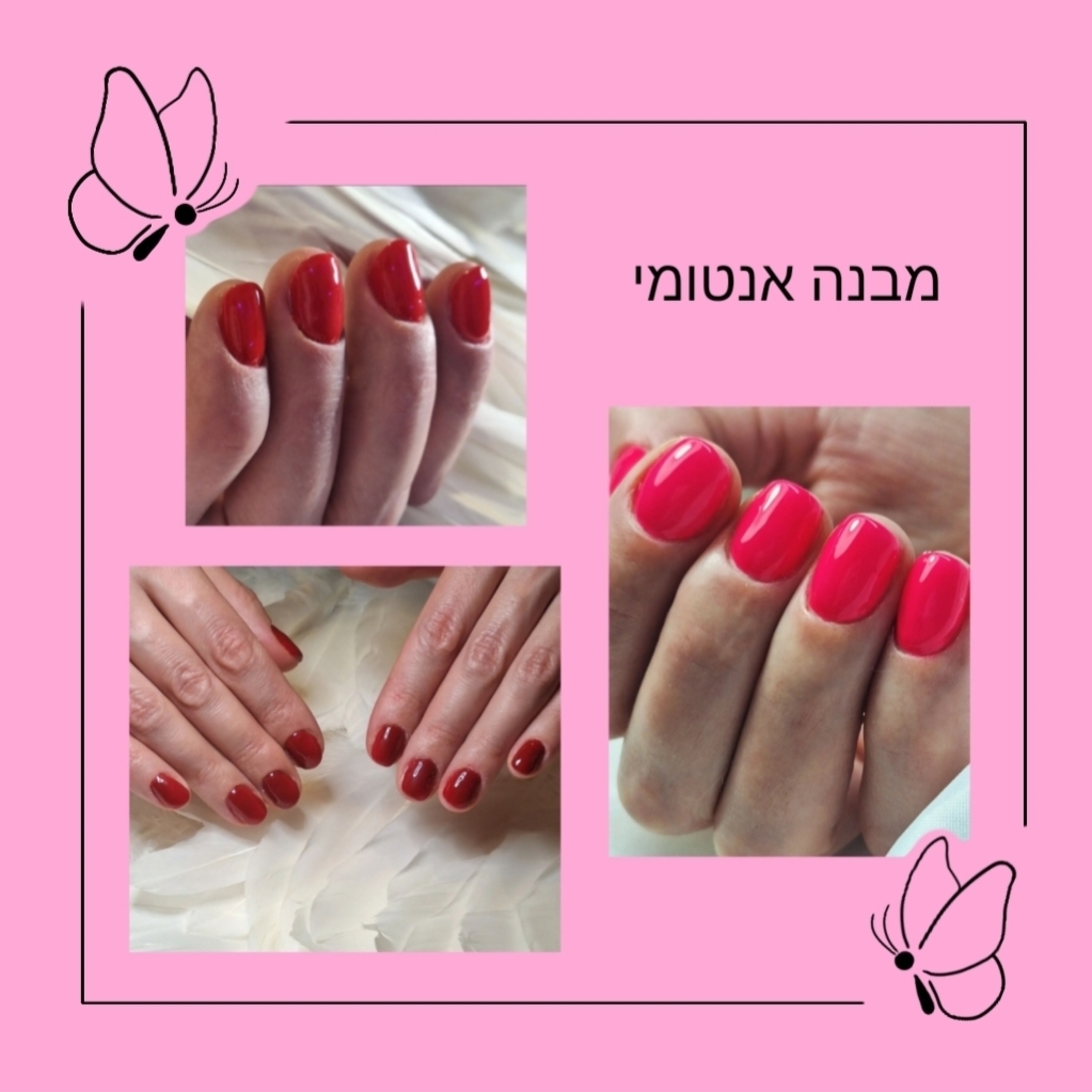 מבנה אנטומי 