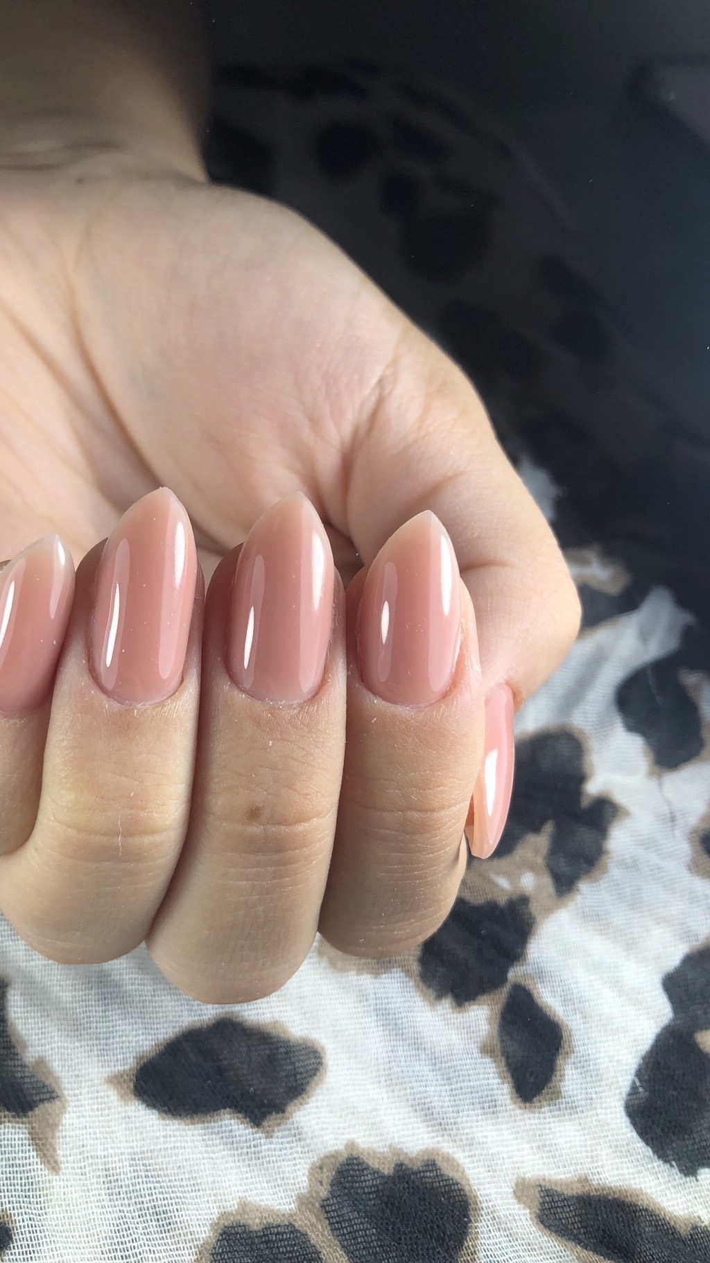 דוגמאת עבודה של העסק