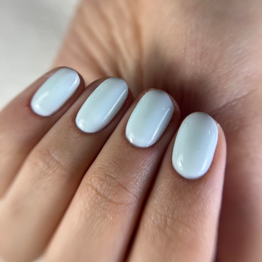 הפרופיל של S.H nails