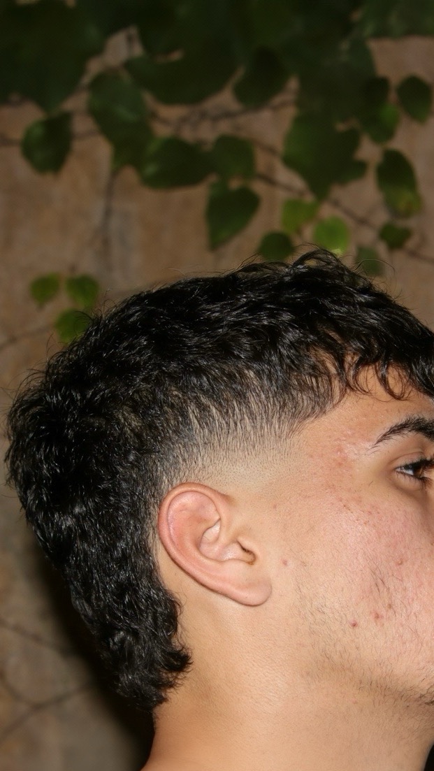 דוגמאת עבודה של העסק