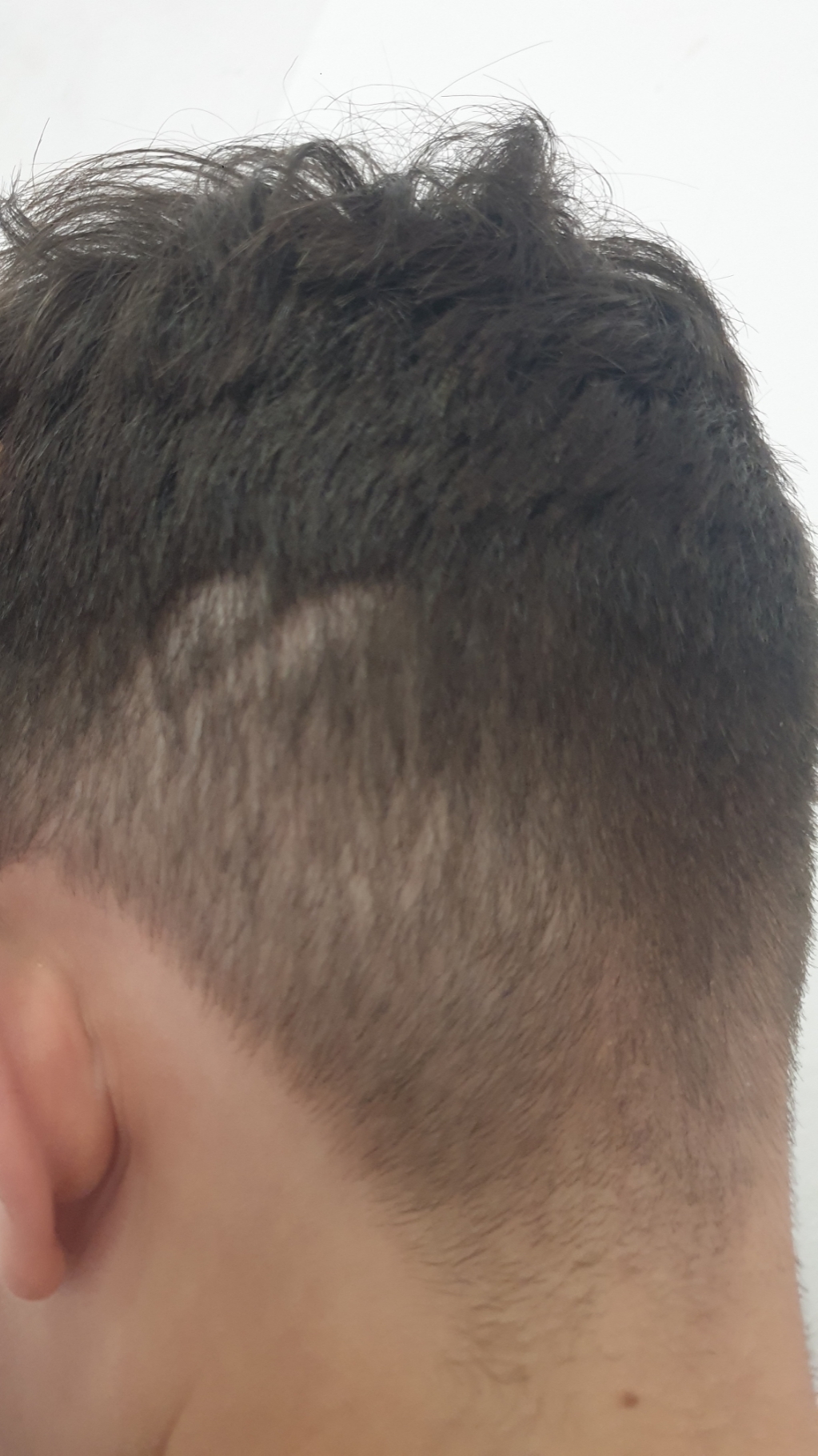 דוגמאת עבודה של העסק