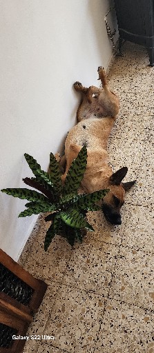 הפרופיל של הילר לייף