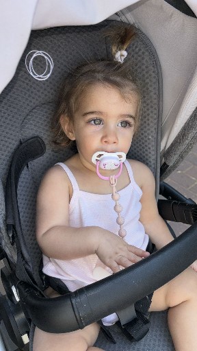 הפרופיל של מנשה הרשטיק