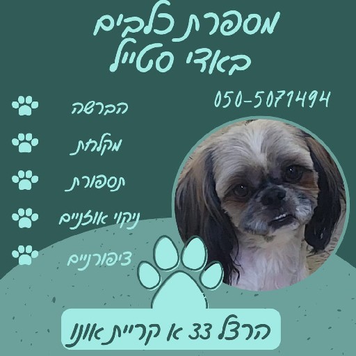 הפרופיל של באדי סטייל