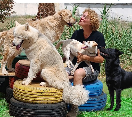 הפרופיל של גן הכלבים של מיכל