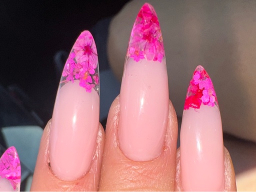 הפרופיל של שירז תנעמי לק ג’ל