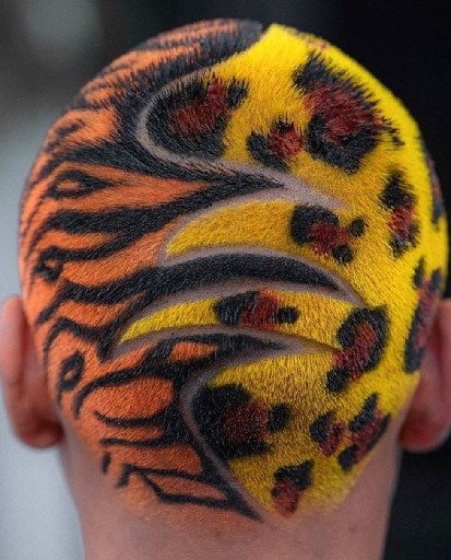 הפרופיל של brbiro lavi😜