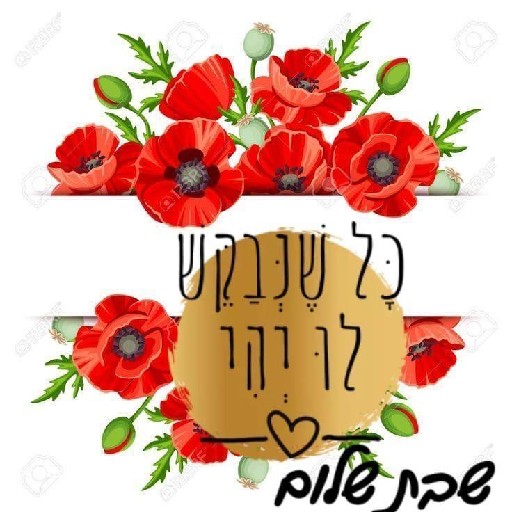 הפרופיל של סטודיו ניילס אביבית
