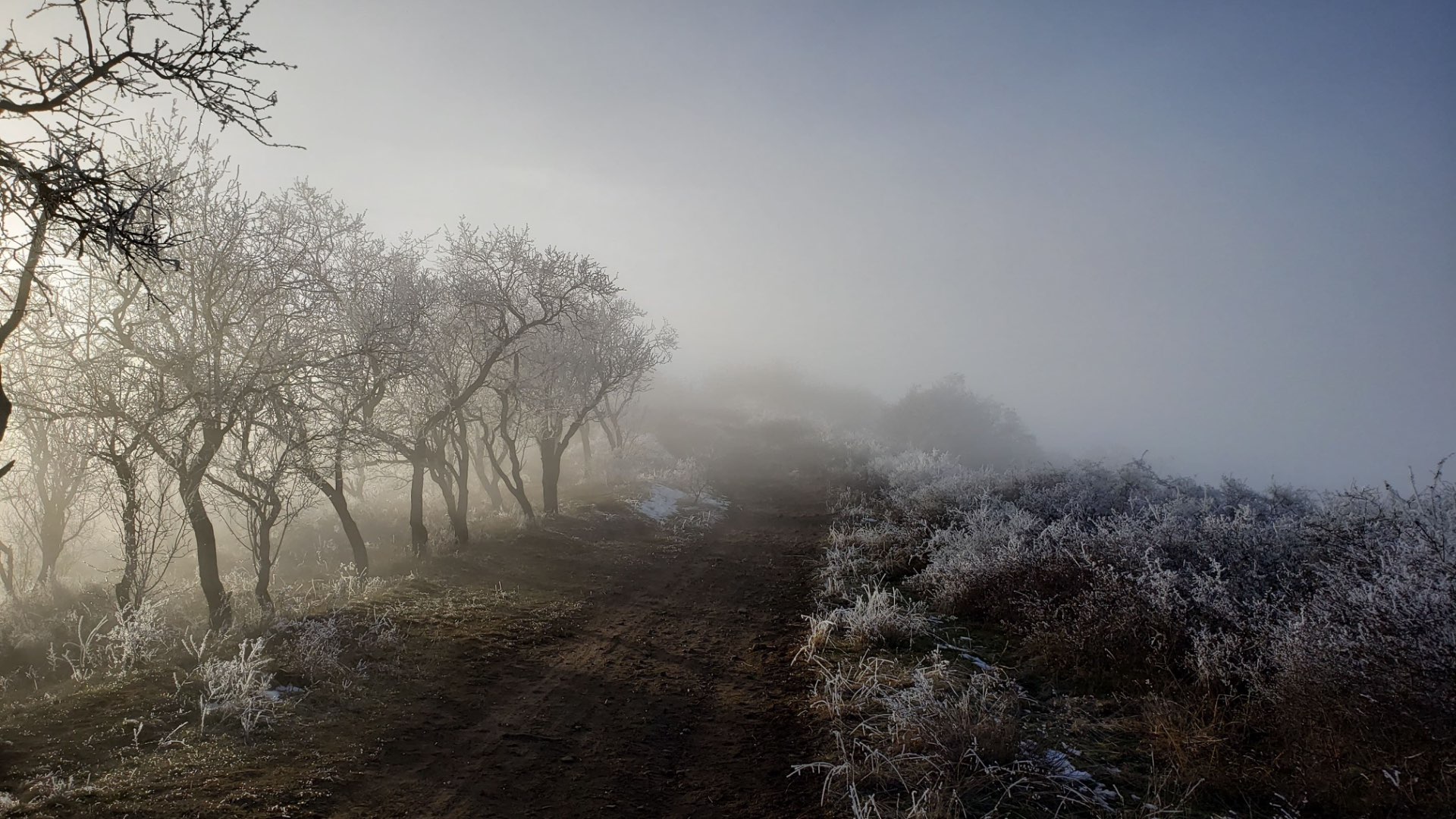 Nino Gogidze: "ზეციდან ქვეყნად ეშვება ნისლი, ქვეყნიდან ზეცად მიილტვის გული, ო, ბუნე…