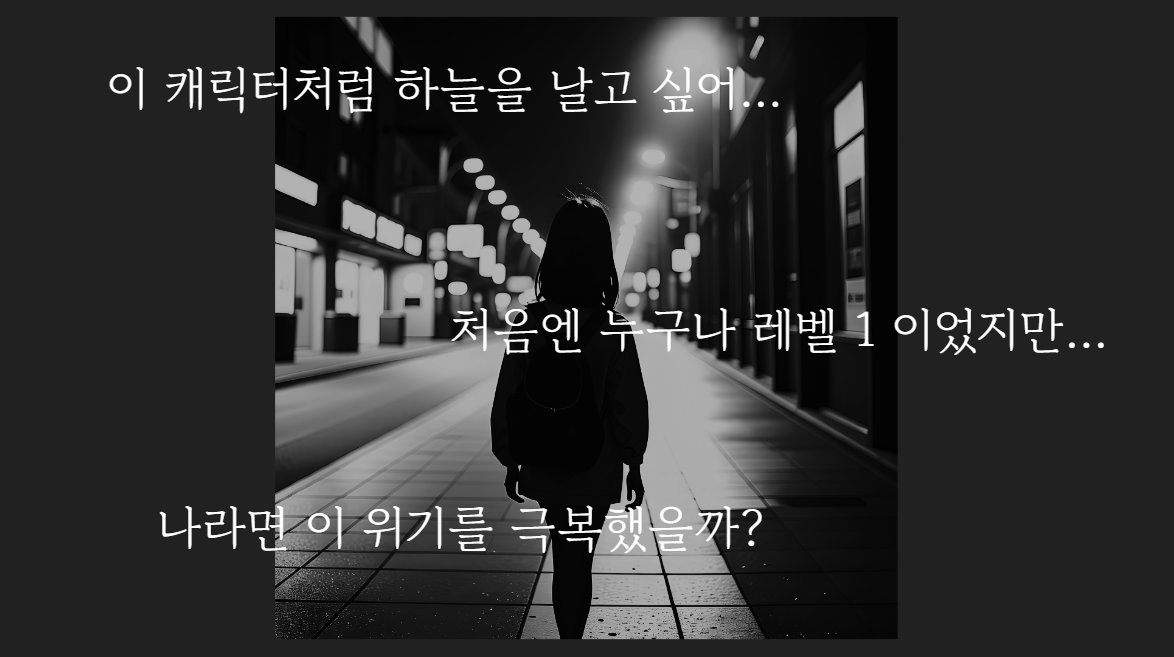 이미지 설명 없음