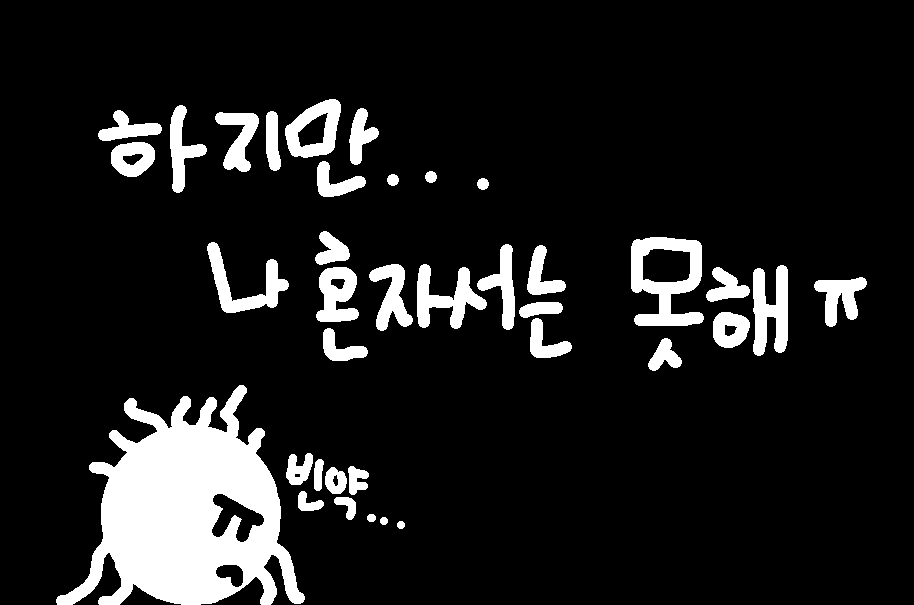 DescriptionPPT4.png