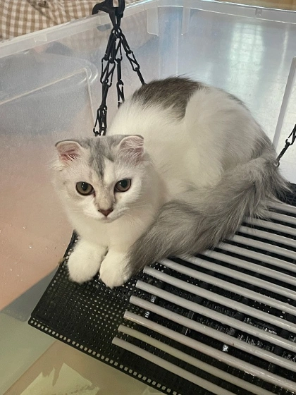 KakaoTalk_20250307_121625127_02.jpg