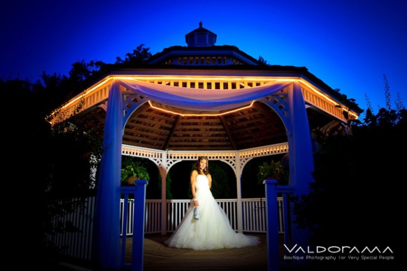 482046_360535834019532_447068013_n