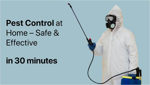 Pest Control Service banner