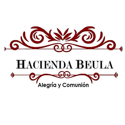 Logo de Hacienda Beula