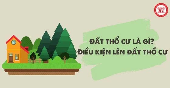 Mua Bán Đất Nông Nghiệp: Rủi Ro Chuyển Đổi và Điều Kiện Lên Đất Thổ Cư