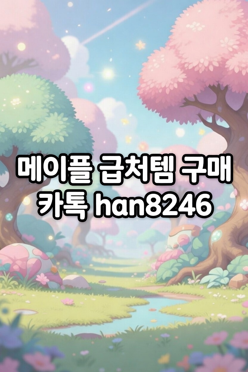 메이플스토리 정보 이미지